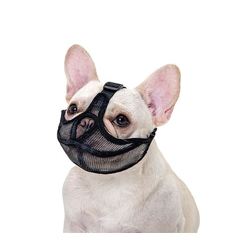 I Tested the Best Dog Muzzles for Pugs - Here's What I Found!