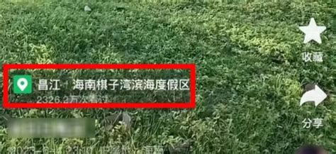 捉谣记 网传台州有帐篷营地涉嫌色情交易？不实！ 杭州辟谣网杭州网 杭州媒体网站联合辟谣平台