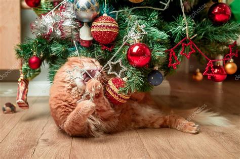 Ginger Cat Jugando Con Pelota En El Rbol De Navidad Gato De Navidad