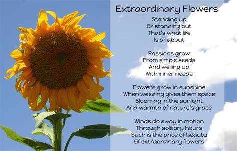 Extraordinary Flowers Inspirational Poems