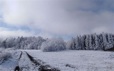 Paisaje Nevado En El Bosque Arte Digital Fondo De Pantalla K Ultra Hd