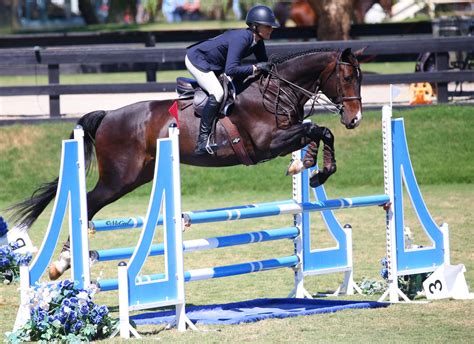 Anne Sherwood Shines In Inaugural USHJA 33 Adult Jumping Seat Medal