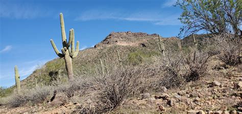 Pass Mountain Trail - Arizona | AllTrails