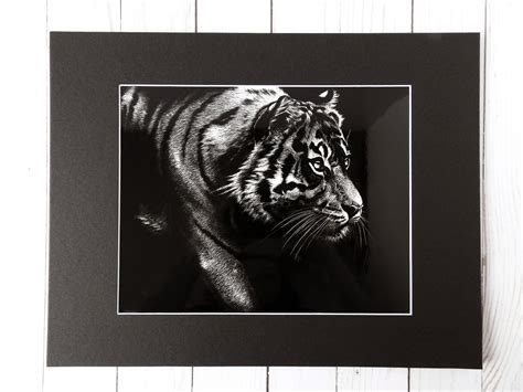 Tiger Art Print Realistic Drawing Wildlife Sketch in | Etsy