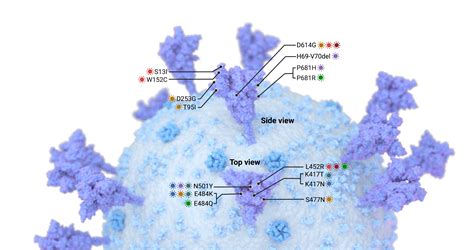 Infographic On SARS CoV 2 Variants Of Concern With Dr Angela Rasmussen