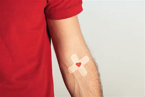 Dia Mundial Do Dador De Sangue Blog Securitas Direct