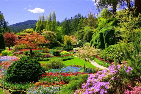 Butchart Gardens, Victoria, Canada. View of the colorful flowers of the ...