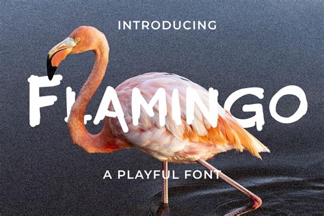 Flamingoo Font Cocodesign Fontspace