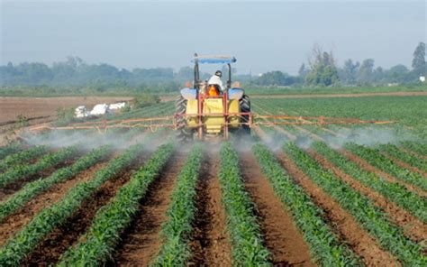 7 ejemplos de malas prácticas agrícolas que afectan al cambio climático