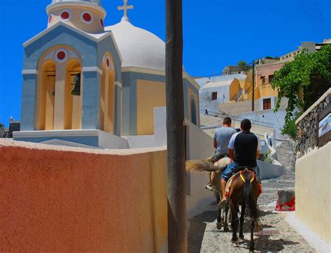 Donkey Ride in Santorini 2025 - Rove.me