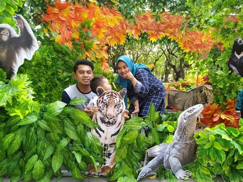 Kebun Binatang Surabaya Review Dan Harga Tiket Masuk Pariwisataku