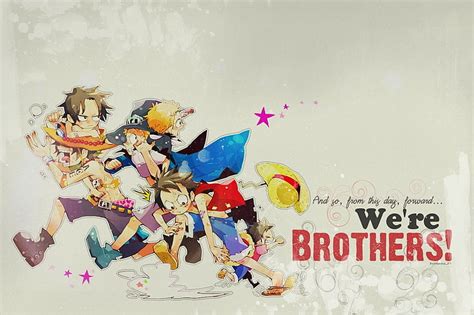 923 Wallpaper Luffy Brother Images & Pictures - MyWeb