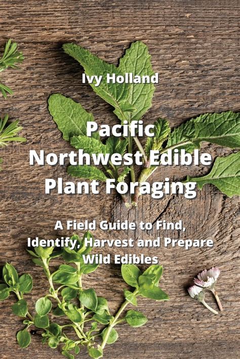 Pacific Northwest Edible Plant Foraging A Field Guide To Find