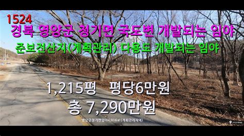 번호 1524 경북 영양군 청기면 국도변 개발되는 임야 급매물 Youtube