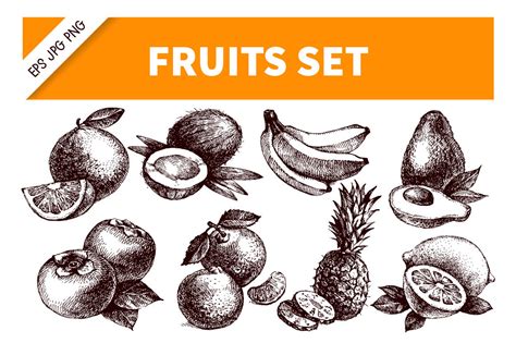 Hand Drawn Sketch Fruits Vector Set By Elena Pimonova Thehungryjpeg