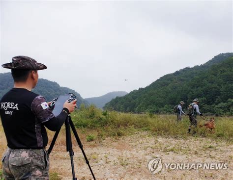 태풍 실종자 수색하는 50사단 장병들 연합뉴스