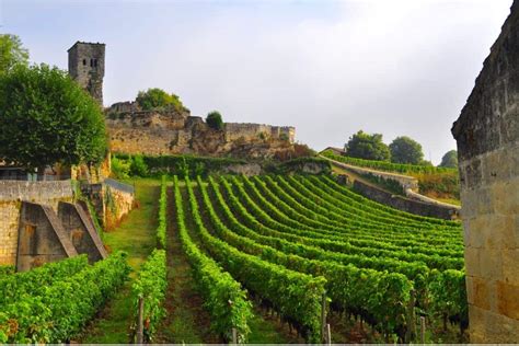 13+ Impeccable Bordeaux Wine Tours to Take in 2024 – Emily Embarks