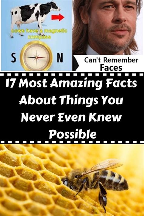 17 Most Amazing Facts About Things You Never Even Knew Possible Wow Facts Some Amazing Facts