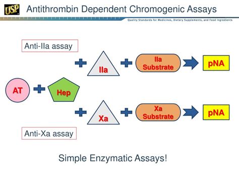 PPT - Biological Assays PowerPoint Presentation, free download - ID:2946199