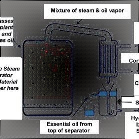 Steam Distillation Assembly For Extraction Of Essential Oil Advantages