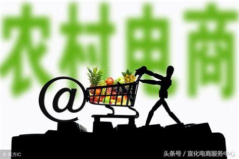 農村電商改變農產品整體供應鏈，推動了農業規模化、標準化發展 每日頭條