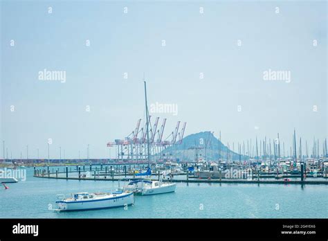 Weekend activity in Tauranga Bridge Marina along Tauranga Harbour ...