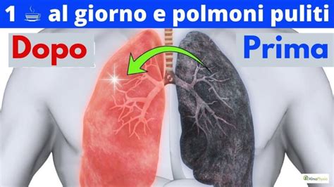 Detox Polmonare Pulisci I Tuoi Polmoni In Soli 72 Ore Actualizado