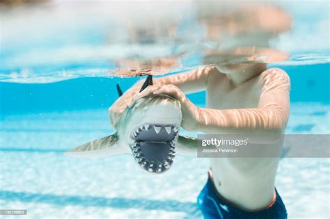 Shark In Swimming Pool