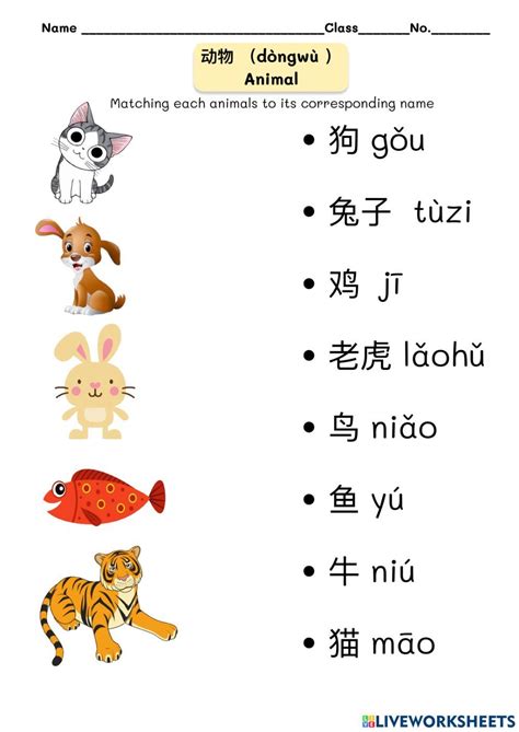 动物 Animal Worksheet Learn Chinese Chinese Lessons Chinese Language