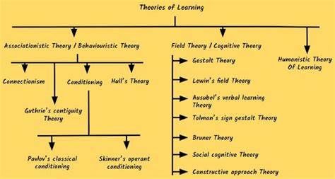 Ivan Pavlov's Theory