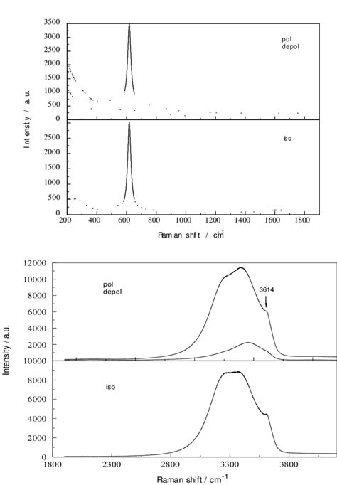 Raman Spectrum Jobin Yvon Spectrometer Showing The Polarized