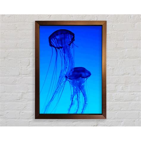 House Of Hampton Gerahmtes Leinwandbild Jellyfish Duo Wayfair De