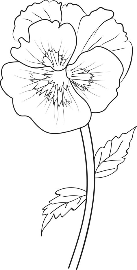 Cute Flower Coloring Pages Pansy Drawing Neon Violet Flower Drawing