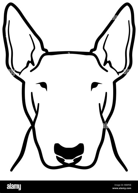 Bull Terrier Logo Hi Res Stock Photography And Images Alamy