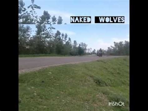 Naked Wolves YouTube