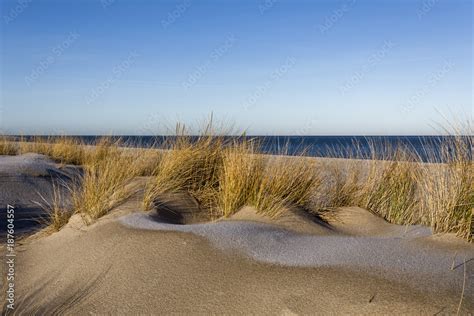 Sylt Stock Photo | Adobe Stock