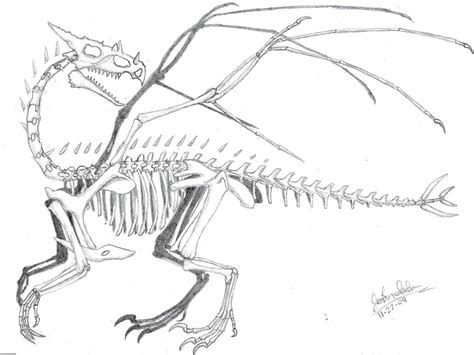 Prehistoric Dragon Skeleton by dragongirl00 on DeviantArt