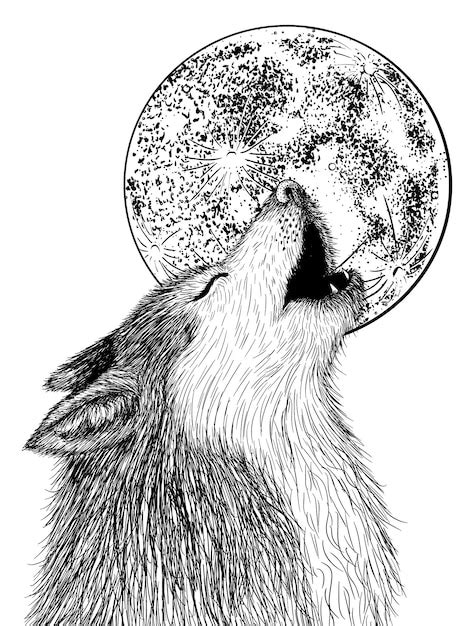 Premium Vector Wolf Howling At The Moon In Engraving Style