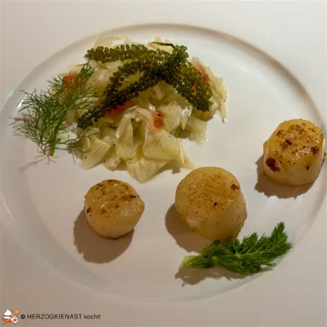 Baby Calamari Oder Jakobsmuscheln Auf Fenchel Herzogkienast Kocht