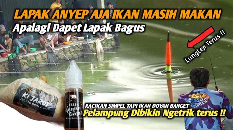 Umpan Mancing Ikan Mas Seneter Ini Racikan Umpan Ikan Mas Paling Jitu