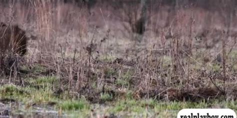 Group Of Naked Badass Girls Boar Hunting And Sky Diving Tnaflix