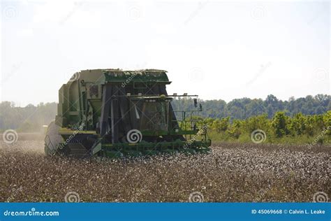 A Farming Tractors Gather Cotton Stock Photo - Image: 45069668