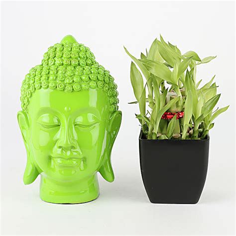 Buy Send Bamboo Plant In Bl Pot N Green Buddha Head Idol Online Fnp