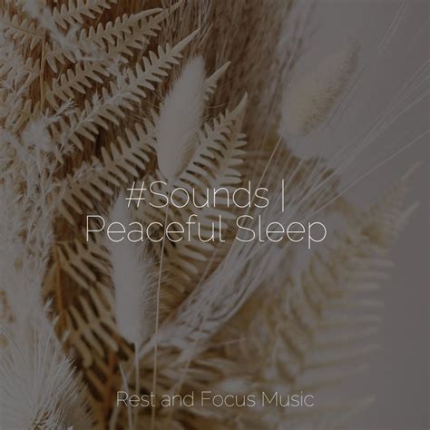 Sounds Peaceful Sleep Album By Relaxing Sleep Sound Relaxed Minds