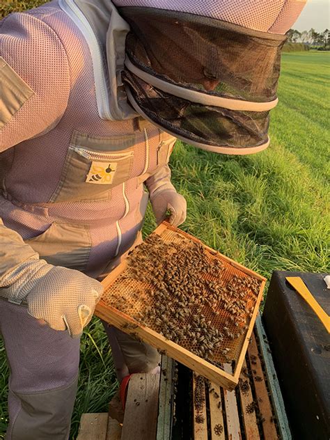 Hedgerow Honey Made In Shropshire