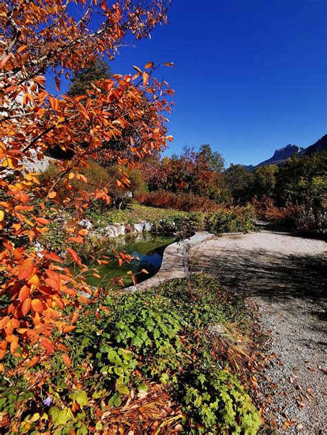 Le Jardin Alpin De Bellevaux Aux Belles Couleurs D Automne Haute