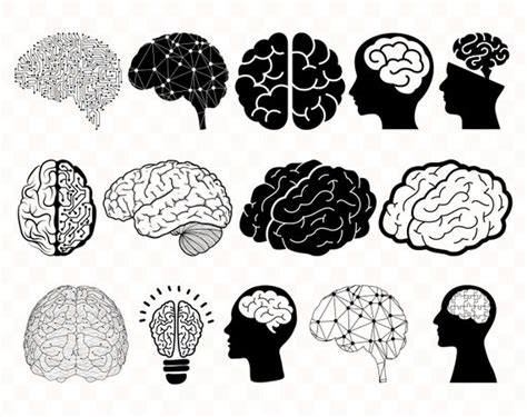 Brain Png Brain Vector Brain Dxf Mind Svg Brain Eps Brain Svg Brain