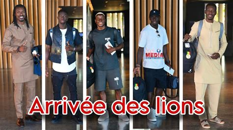 Les Lions Font Leur Arriv E L H Tel Pour Le D But Du Regroupement Des