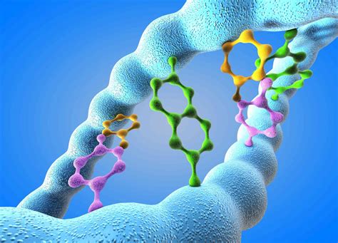 The 5 Kinds of Nucleotides