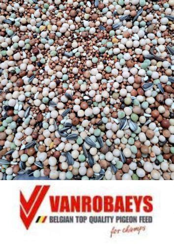 Vanrobaeys Sklep I Akcesoria Dla Go Bi Go Bi Market